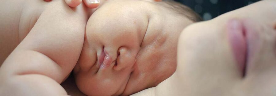 Pie de foto: Banco de imágenes Pixabay.com, créditos de Angel4leon.