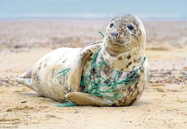 microplasticos-en-sistemas-sanitarios_01
